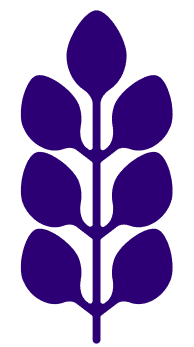 INDIGO Icon
